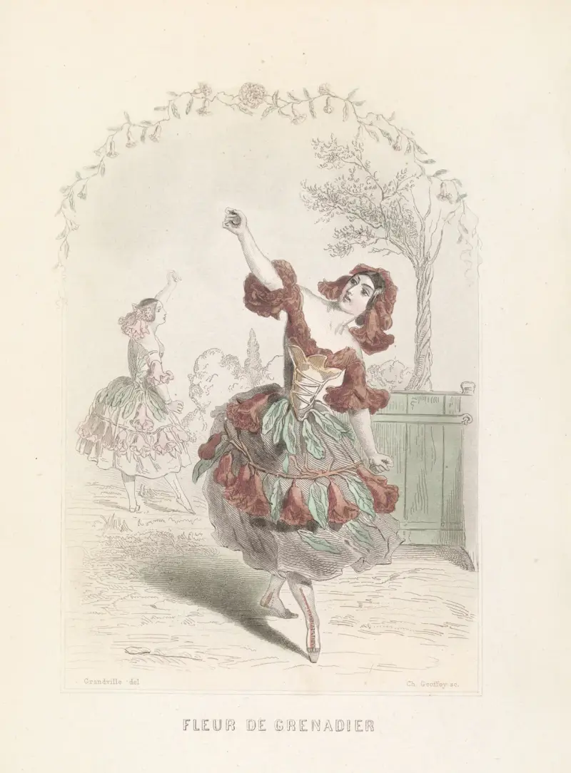 Granátové jablko v květu, J. J. Grandville