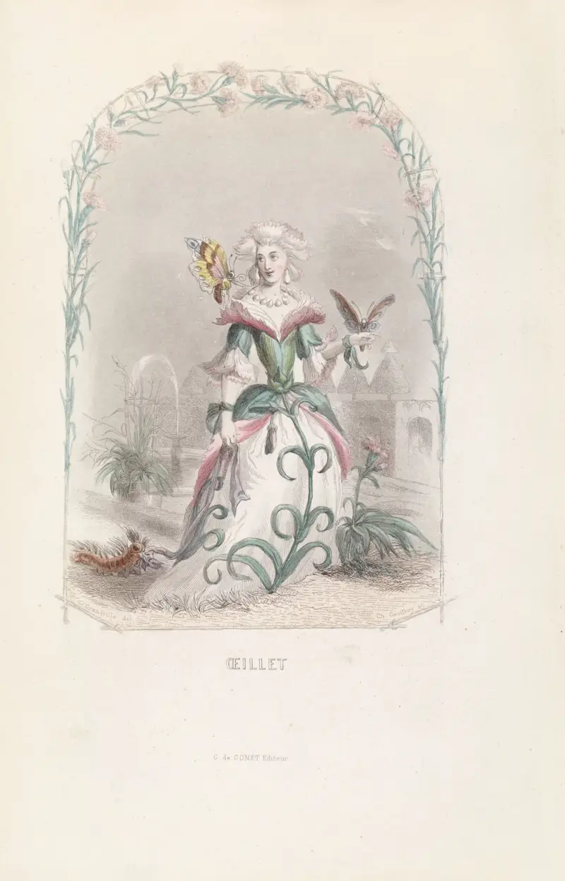 Nelke von J. J. Grandville