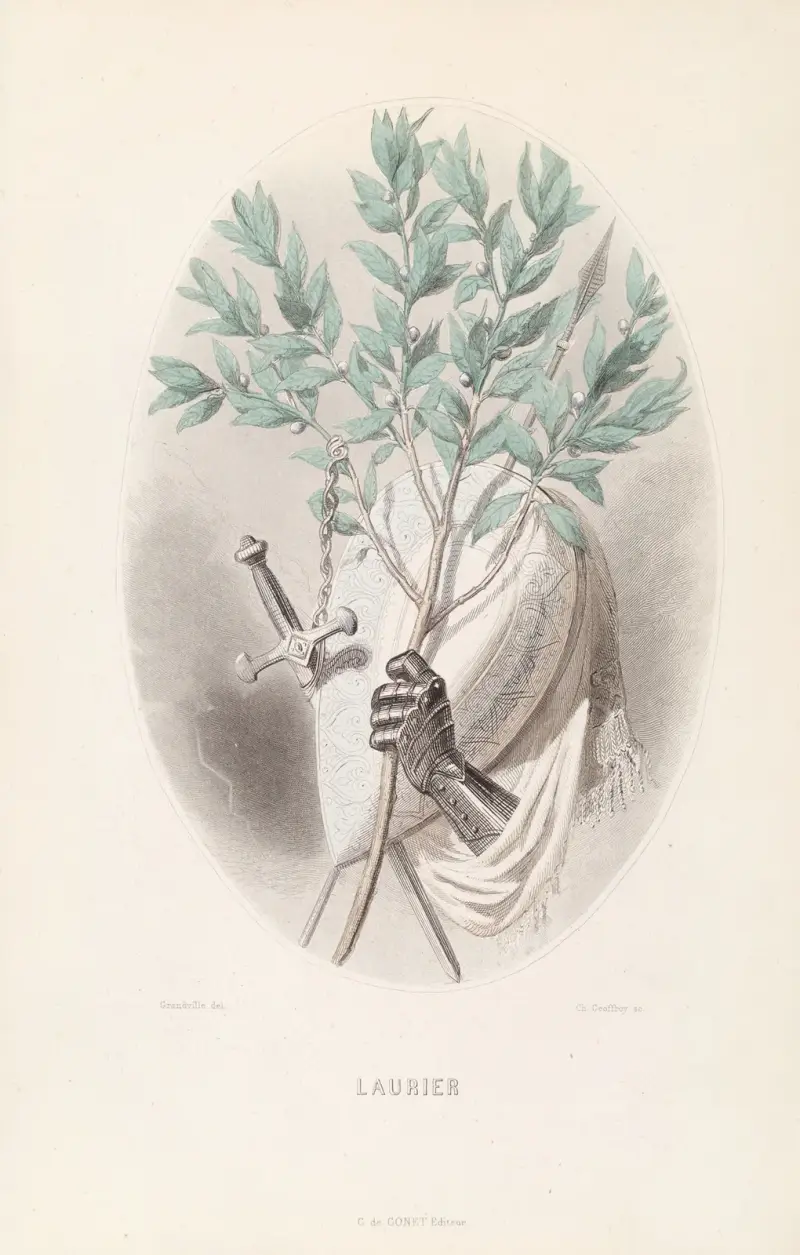 Lorbeer von J. J. Grandville