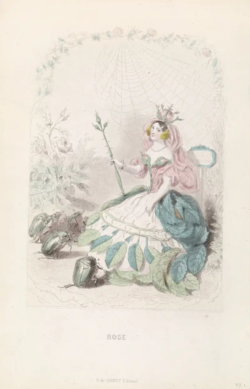 Rose, J. J. Grandville