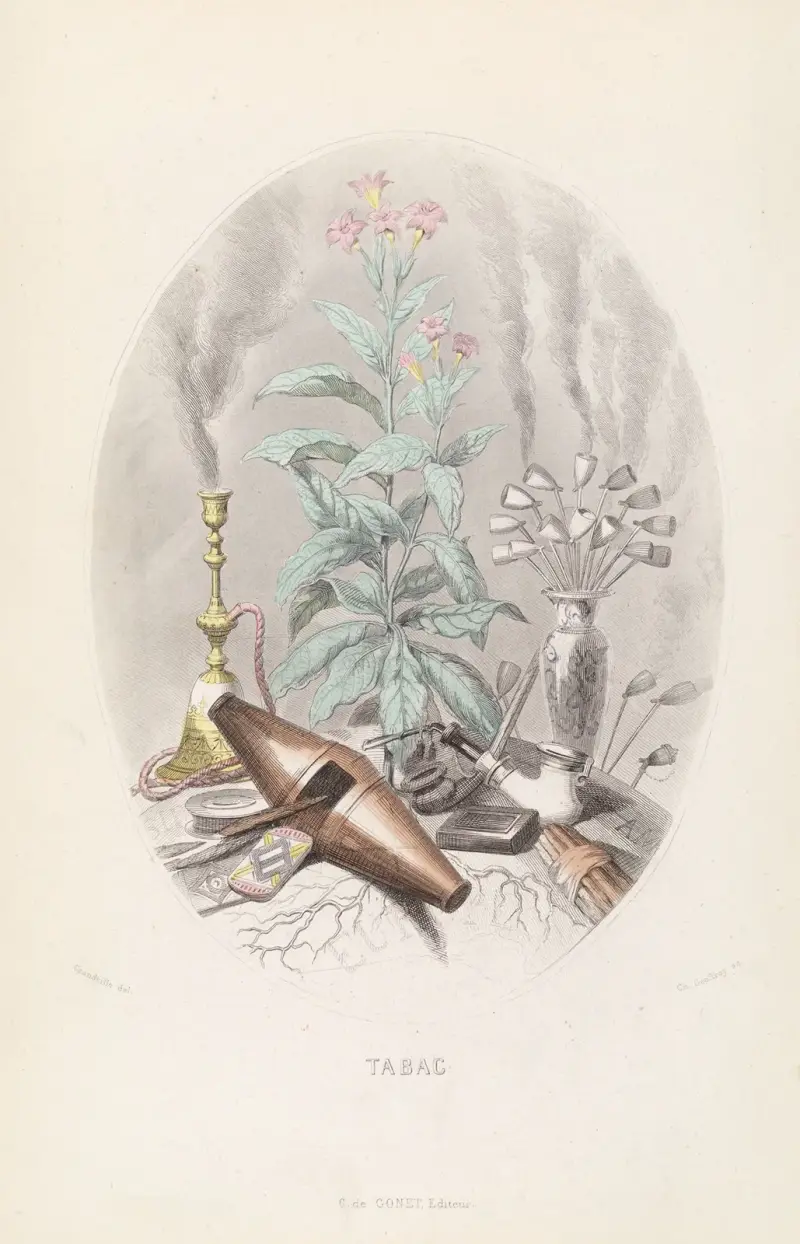 Tabac, J. J. Grandville