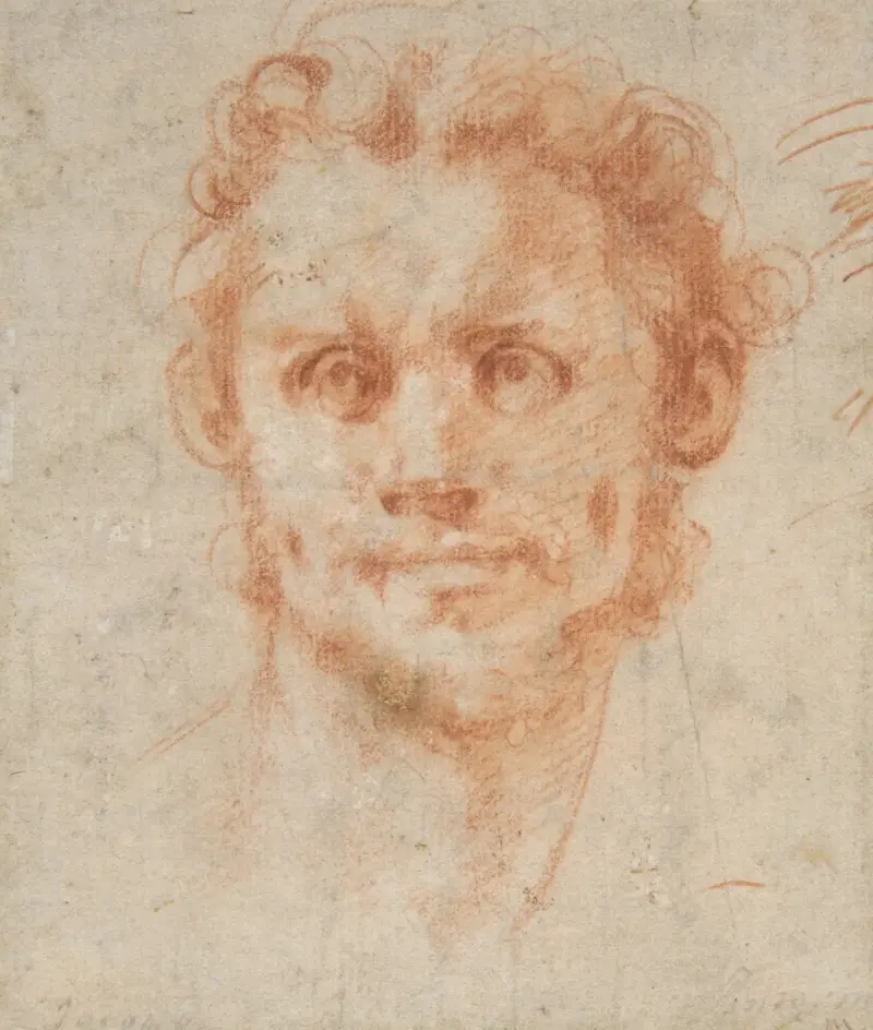 Study of a Man’s Head av Pontormo (Jacopo Carucci)