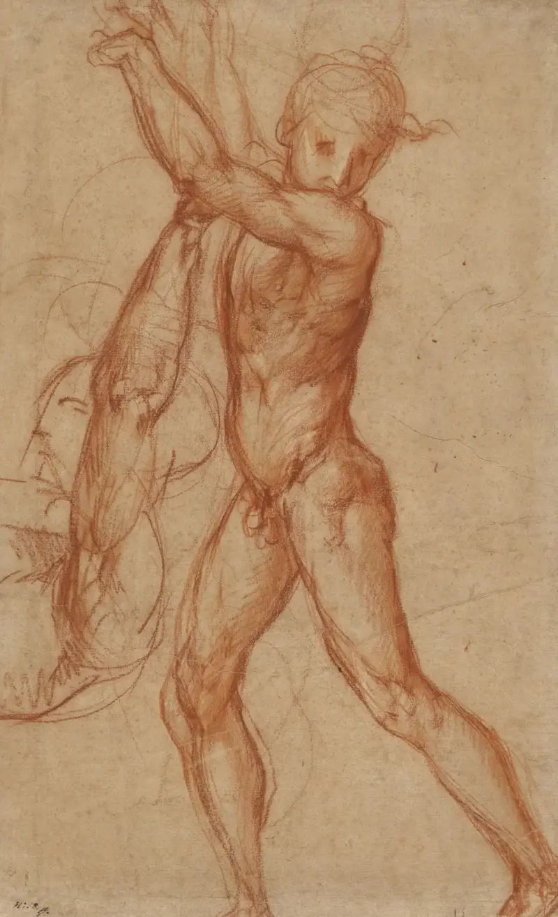 Study of a Nude Boy, Partial Figure Study av Pontormo (Jacopo Carucci)