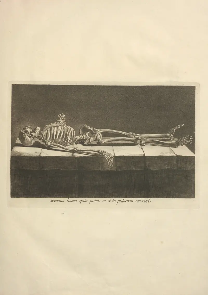 Nytt samlingsverk om osteologi och myologi, tecknat efter naturen, plansch 6 av Jacques Gamelin