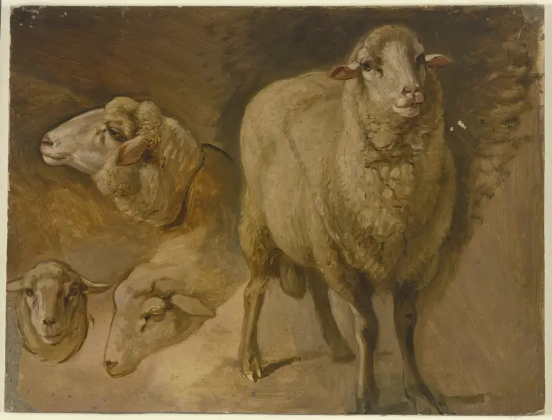 Sheep av Jakob Becker