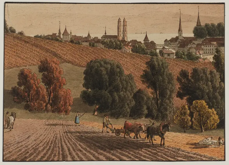 Obere Zäune, Johann Jakob Biedermann