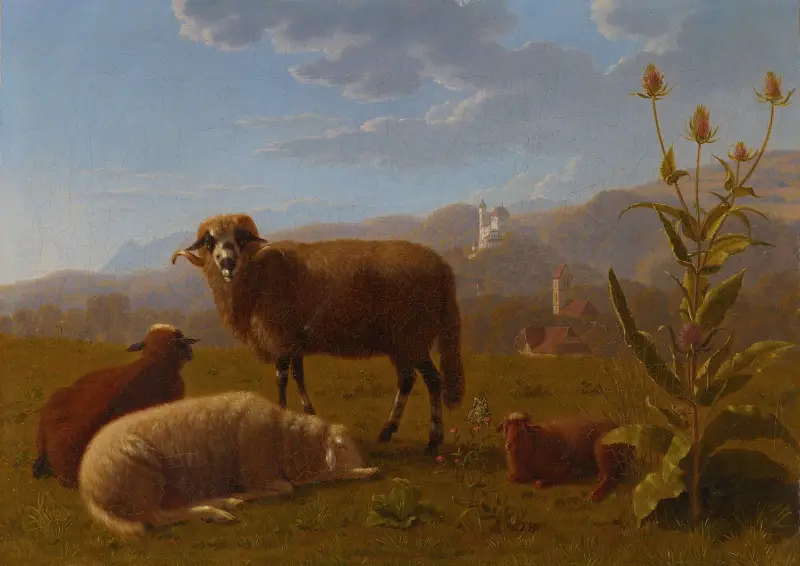Ovce u zámku Bipp, Johann Jakob Biedermann