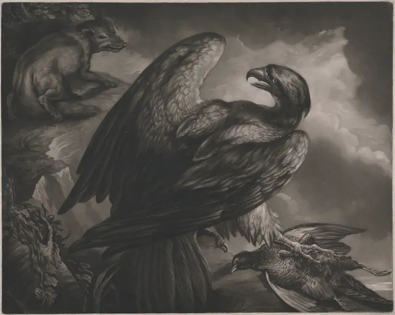 An eagle with a dead pheasant, watched by a fox av James Northcote