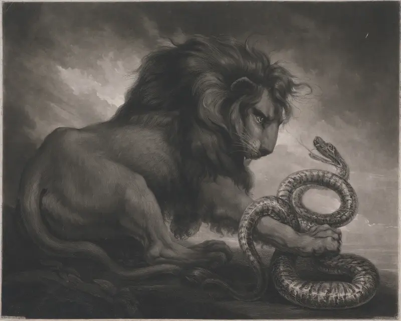 Löwe und Schlange von James Northcote