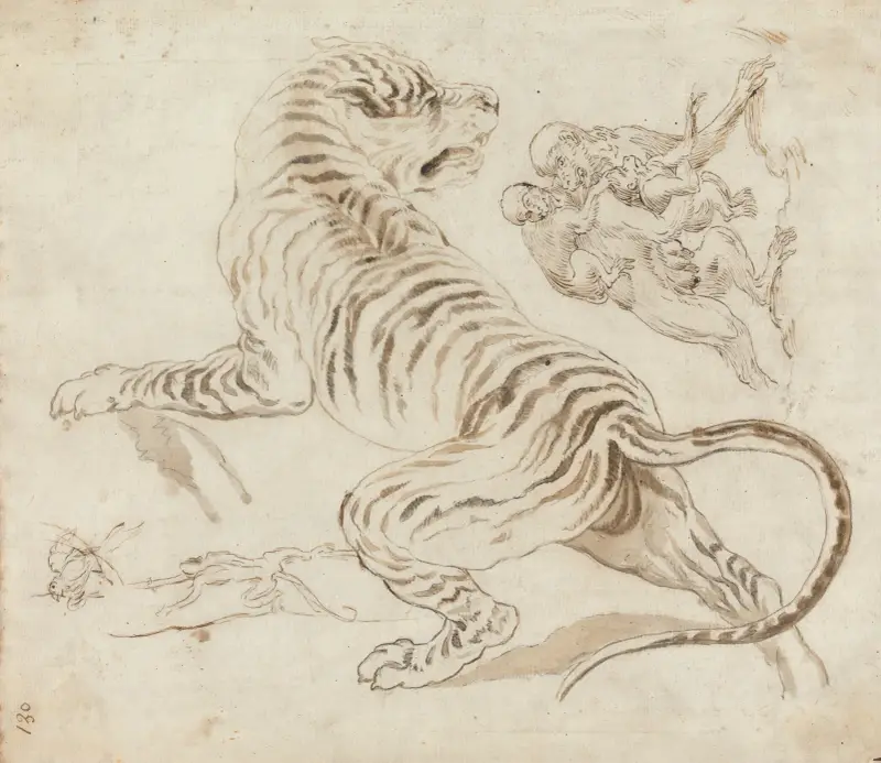 Studie für einen Tiger und Affen von James Northcote