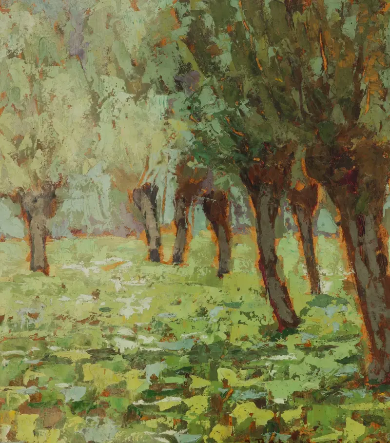 Světelná skvrna – Ornica, Jan Bohuszewicz