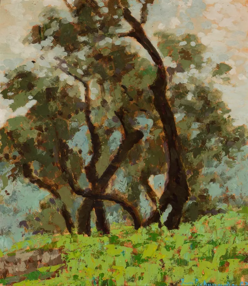 Oliven vor dem Regen von Jan Bohuszewicz