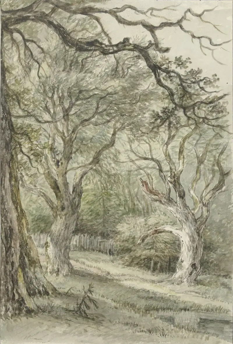 Bosgezicht av Jan Hulswit