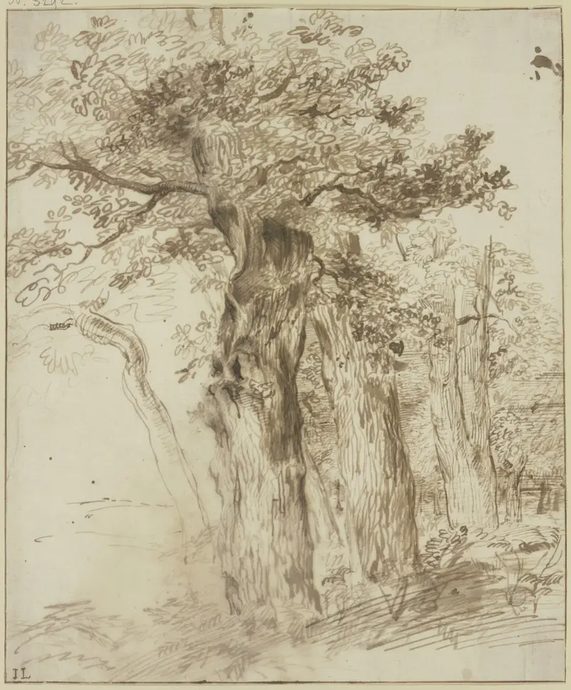 Grupa pni dębowych, Jan Lievens