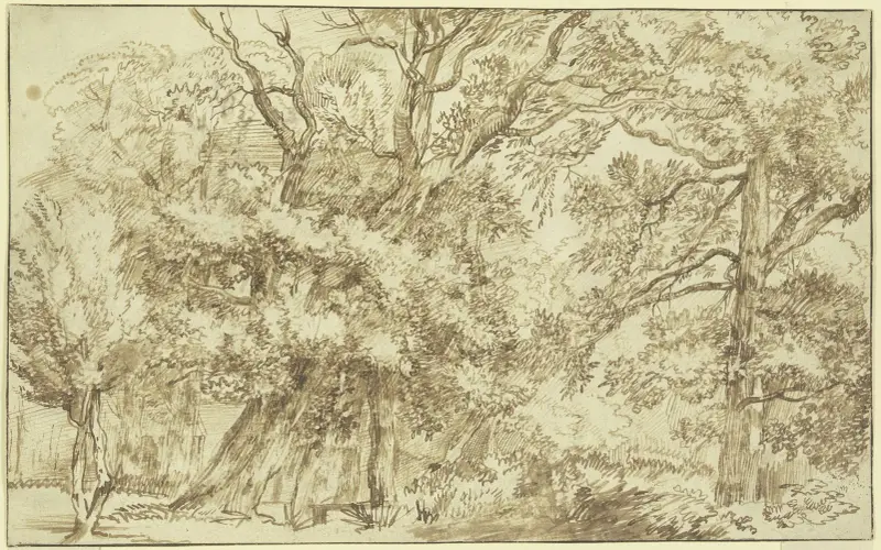 Forest landscape av Jan Lievens