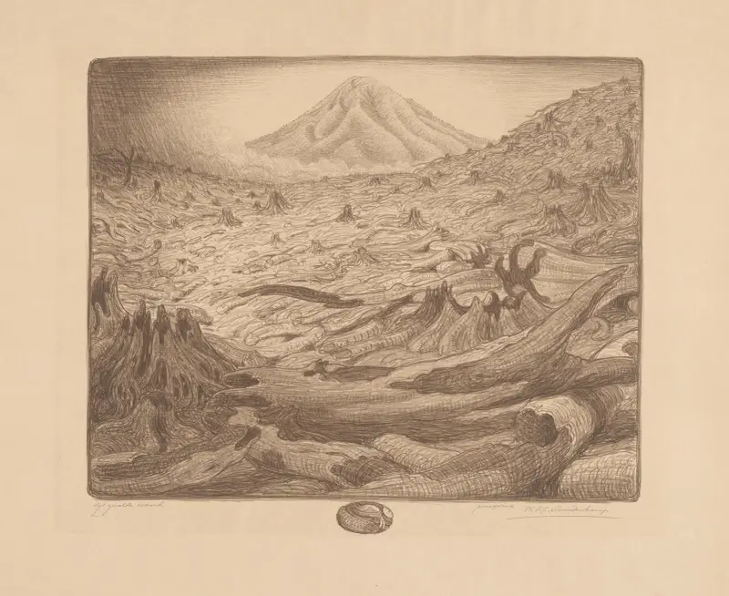 Gefällter Wald. Idjèn-Plateau von Wijnand Otto Jan Nieuwenkamp