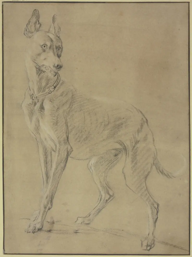 Chart w lewo, Jan Weenix