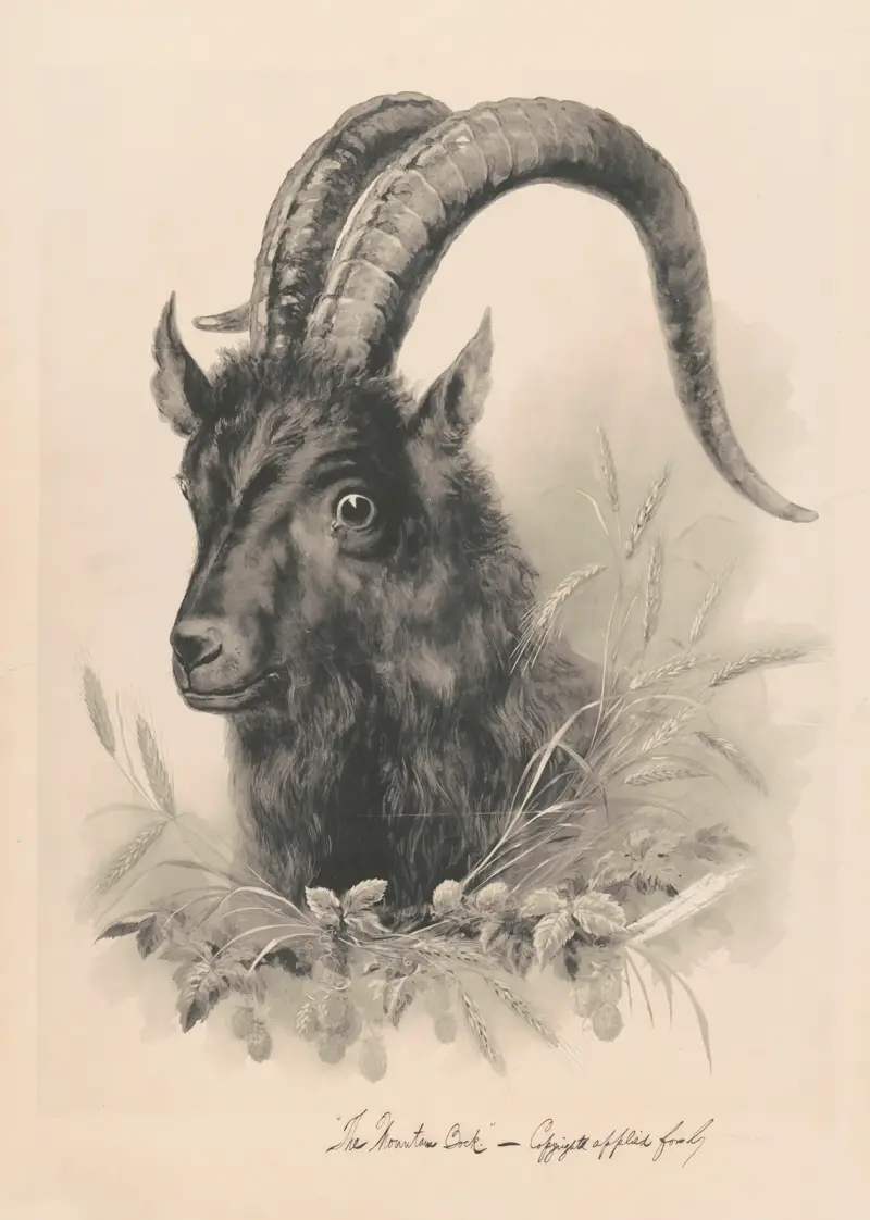 The mountain bock av Henry Jerome Schile
