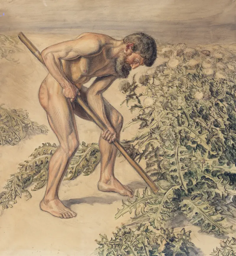 Adam trhající bodlák, Joakim Skovgaard