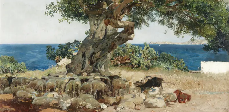 Algarrobo (Drzewo karobowe), Joaquín Sorolla