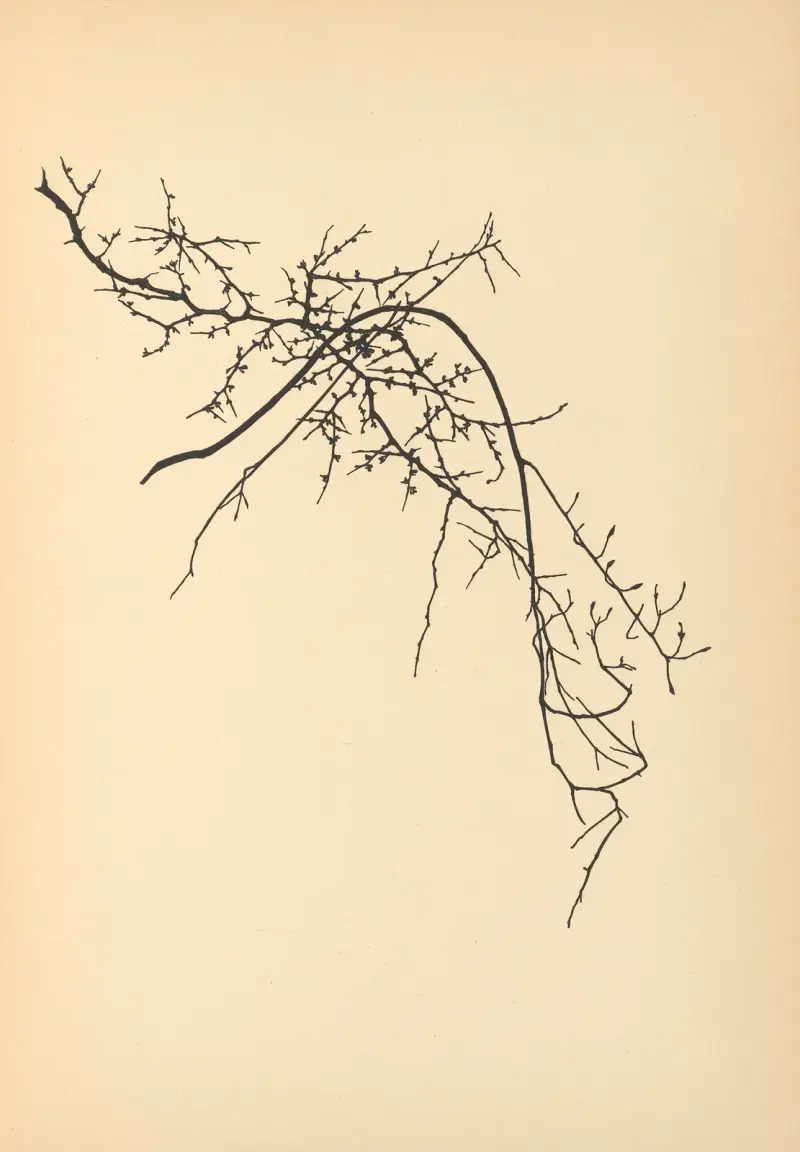 Vertrauen Pl.09 von Johanna Beckmann