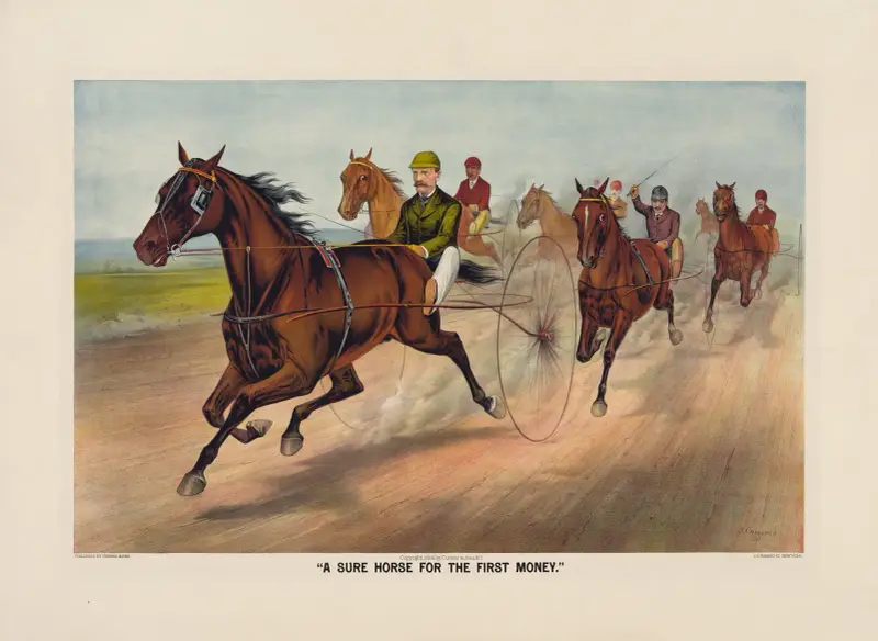 A sure horse for the first money av John Cameron