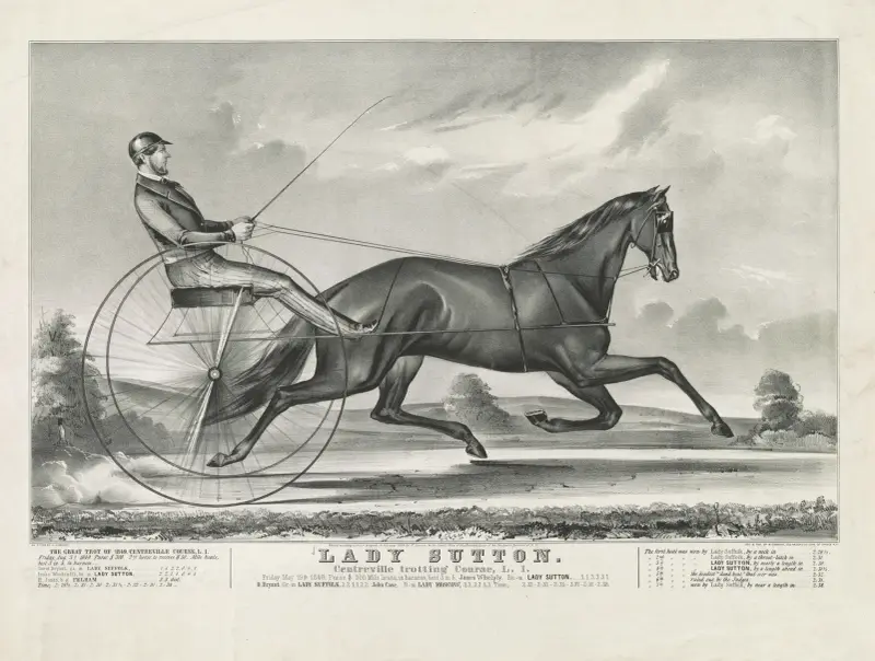 Lady Sutton. Centreville travbana, L.I. av John Cameron