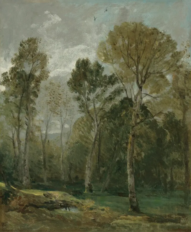 Widok na zagajnik, John Constable