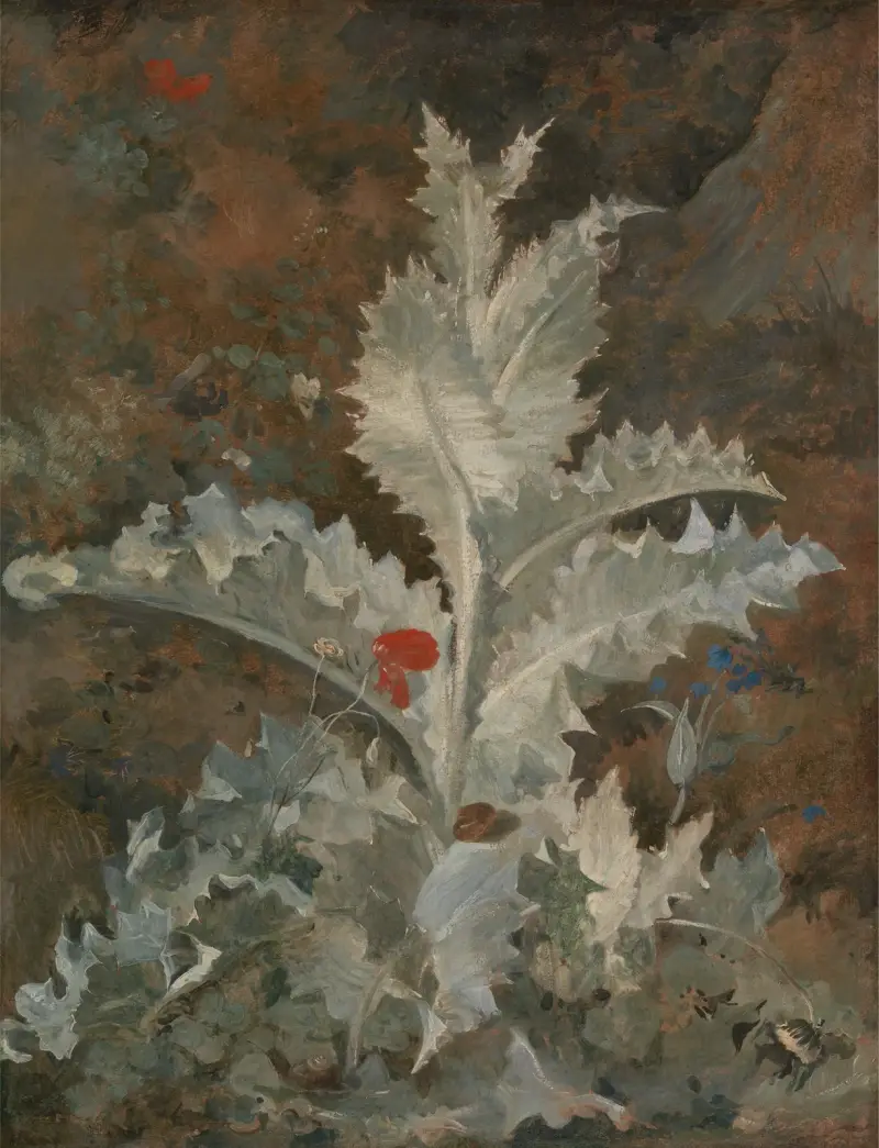Tistel, John Crome