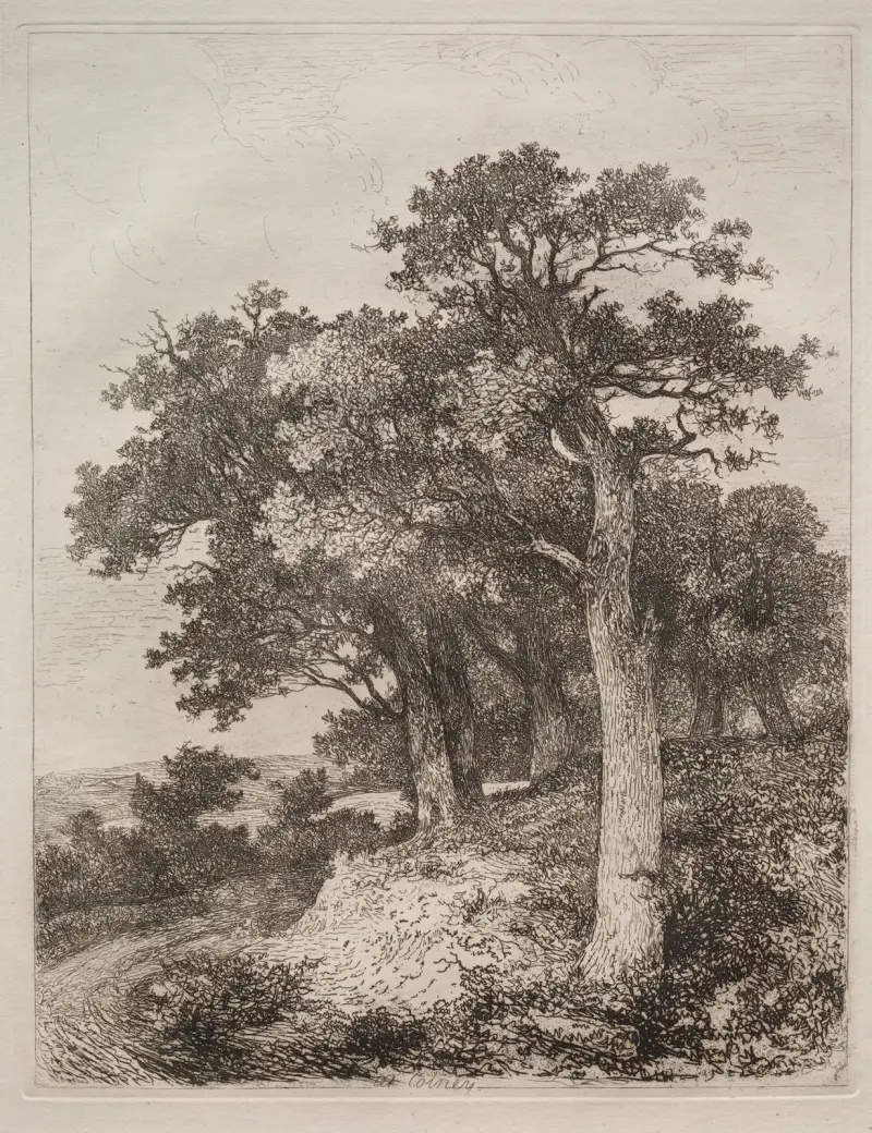 At Colney, John Crome