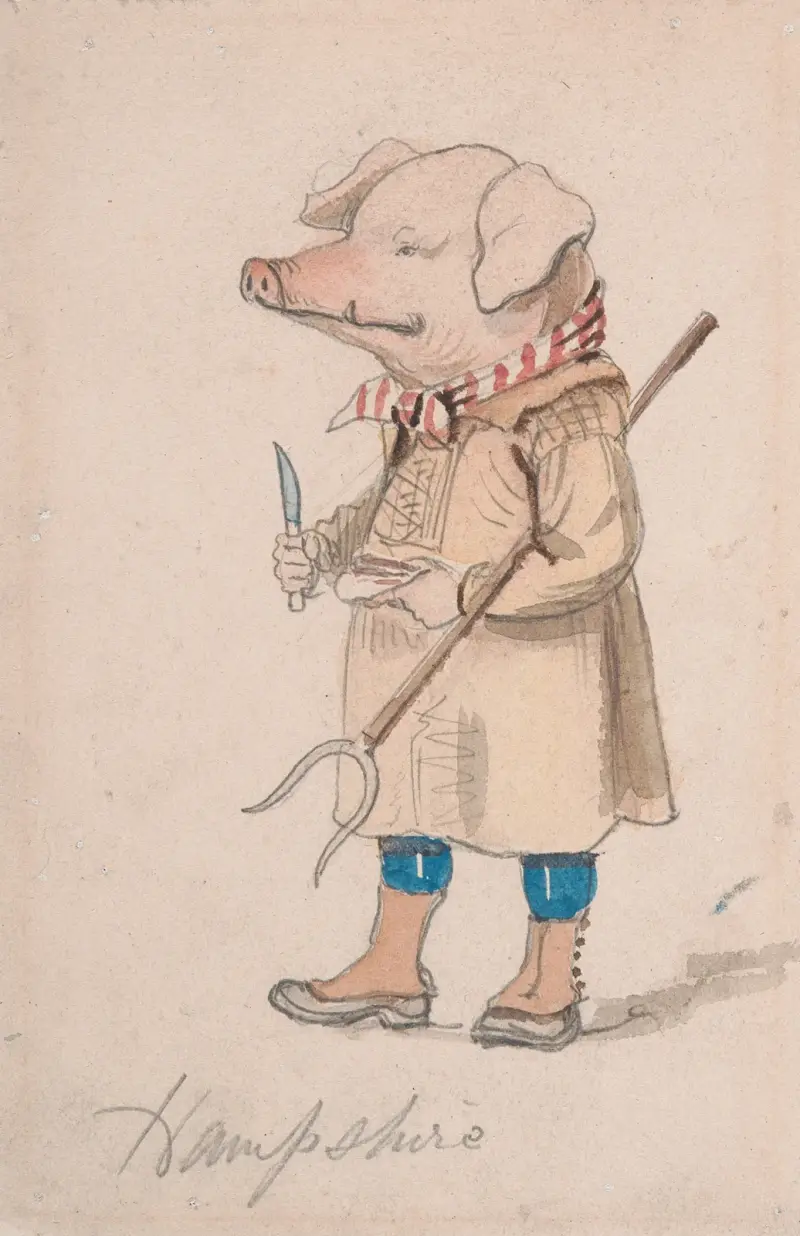 Karikatyr av grevskapet Hampshire av John Leech