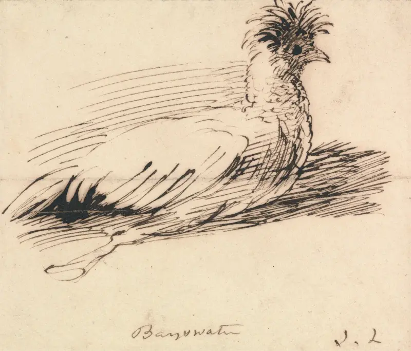 Eine Henne von John Linnell