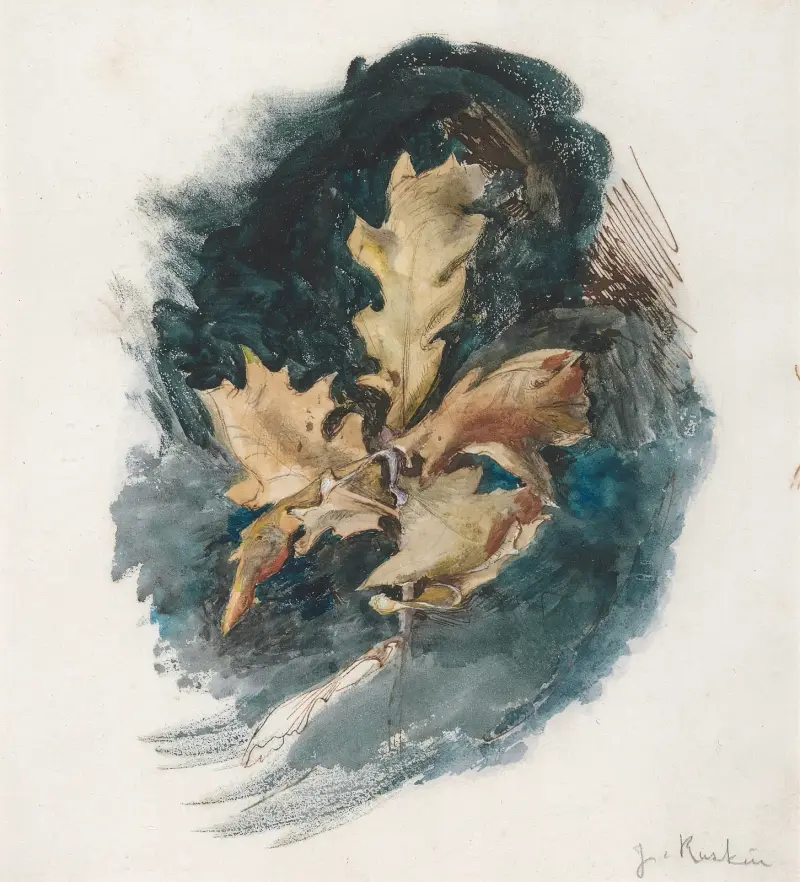 Study of an Oak Leaf av John Ruskin