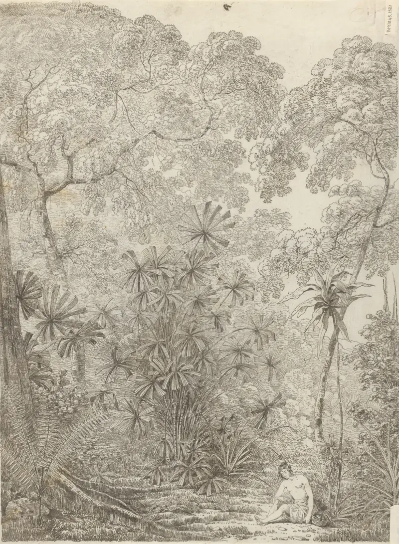 Solfjäderpalmen på Krakatau av John Webber