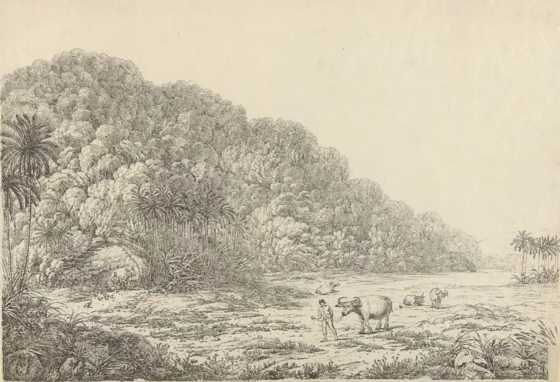 Vy på ön Pulo Condore, 1792 – nr 1 av John Webber
