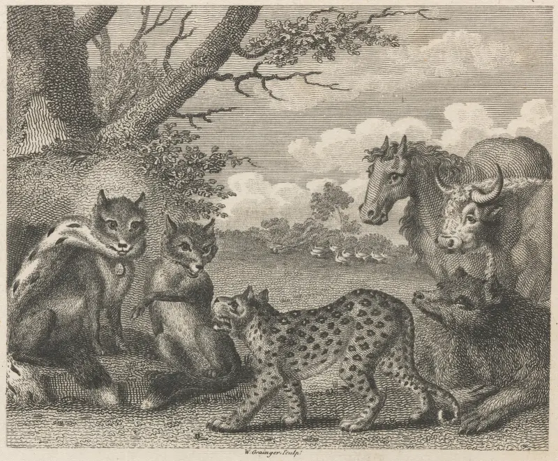 Fabel VII. Lejonet, räven och gässen av John Wootton