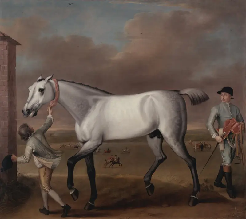 Hertigens av Hamilton grå kapplöpningshäst 'Victorious' vid Newmarket av John Wootton