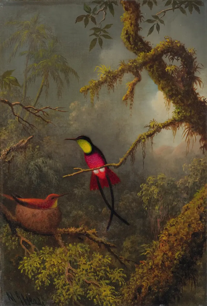 Ett par häckande röda topaskolibrier av Martin Johnson Heade