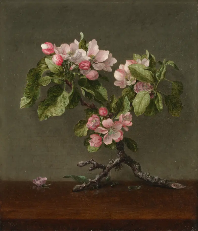 Jabloňové květy, 1873, Martin Johnson Heade
