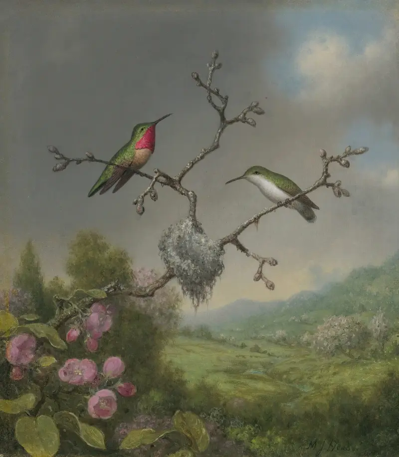 Kolibris und Apfelblüten von Martin Johnson Heade