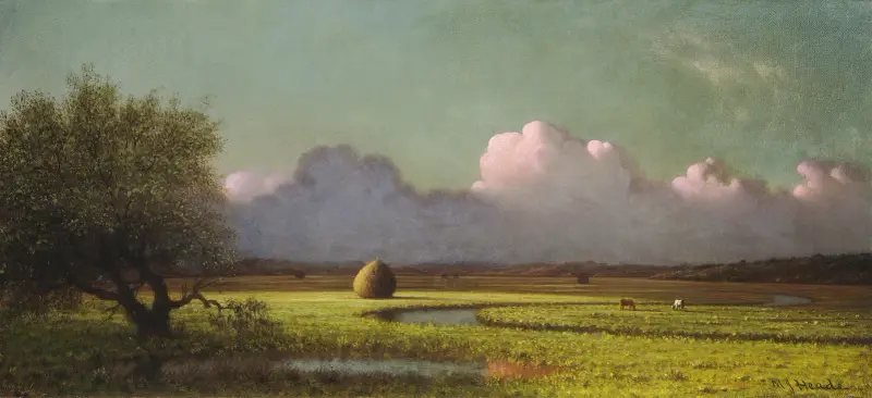 Solljus och skugga – Newburymarskerna av Martin Johnson Heade