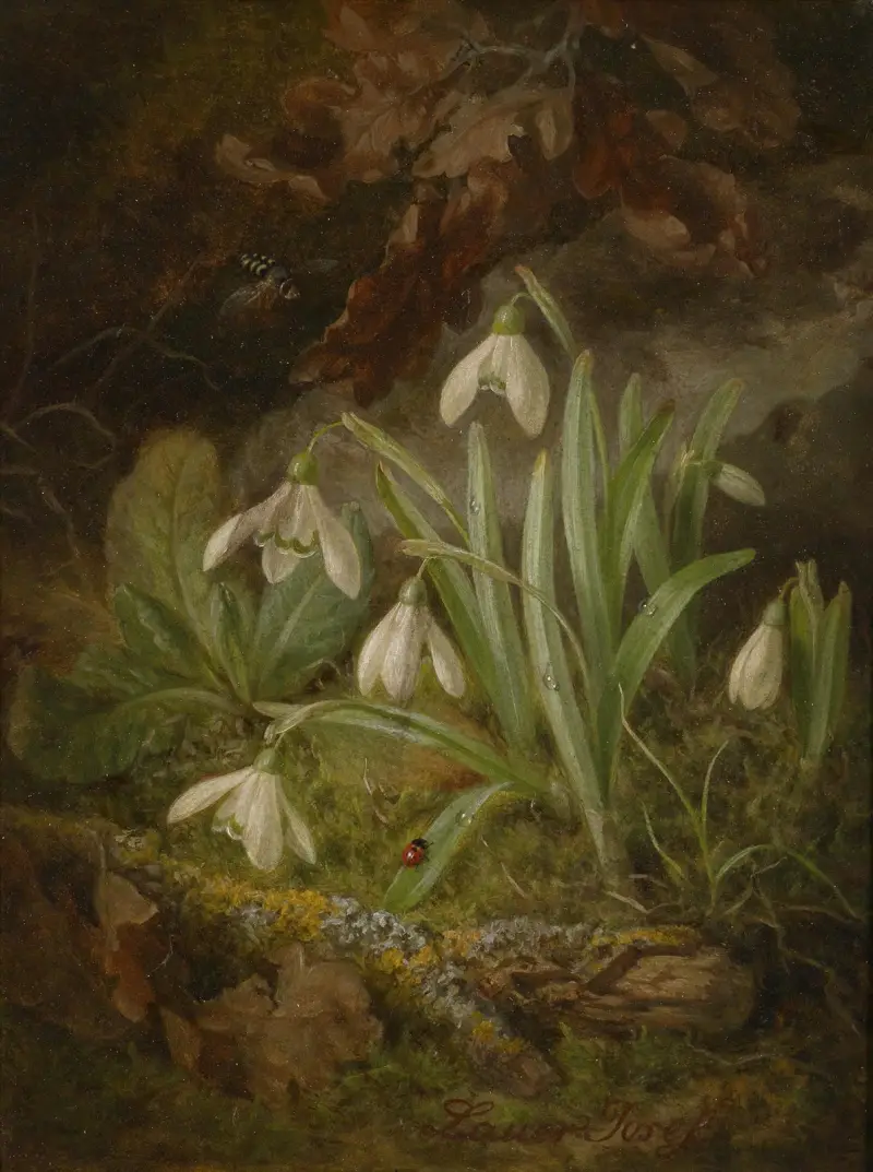 Waldbodenstück mit Schneeglöckchen av Josef Lauer