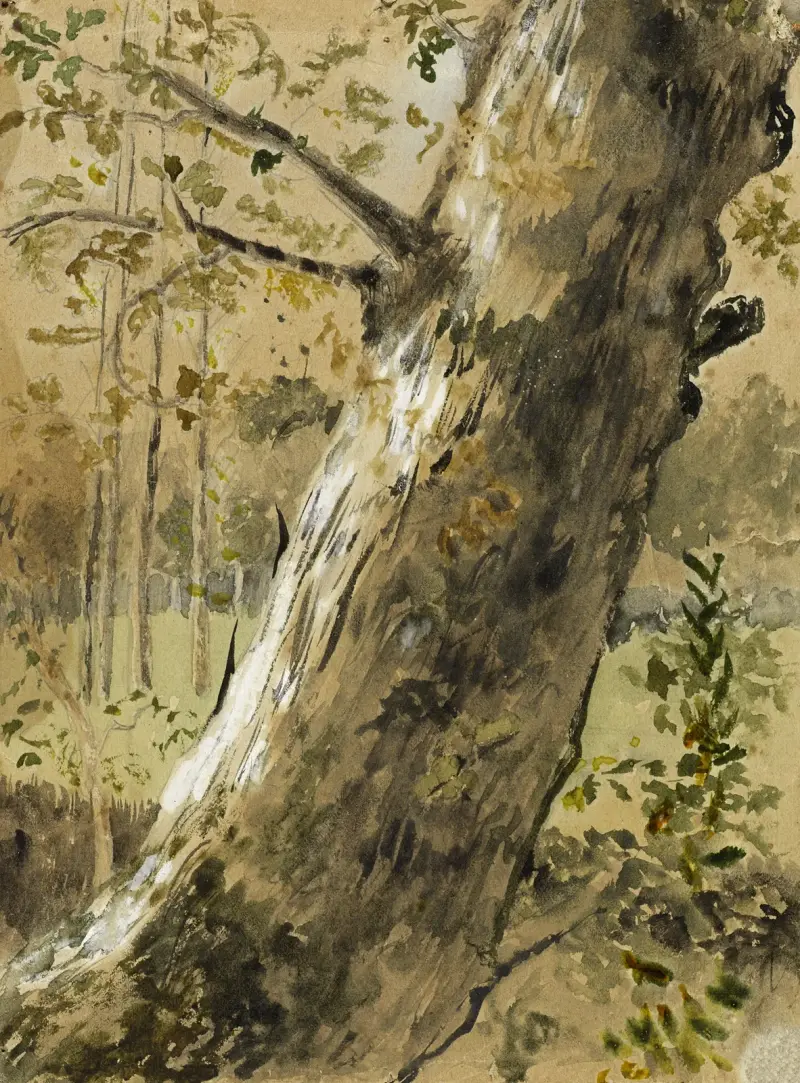 Landskapsstudie från Vendée. La Roche-sur-Yon. Trädstam av Arthur-Joseph Gueniot