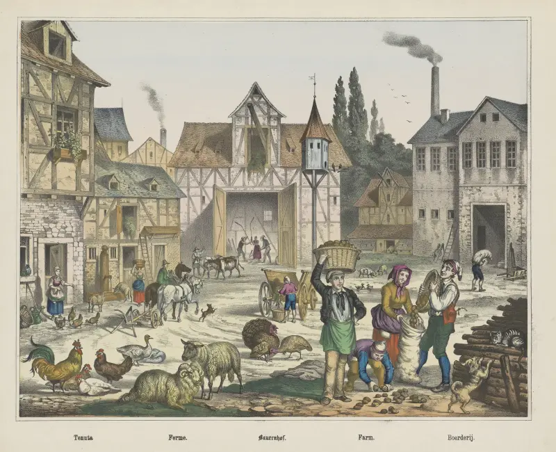 Farm av Joseph Scholz