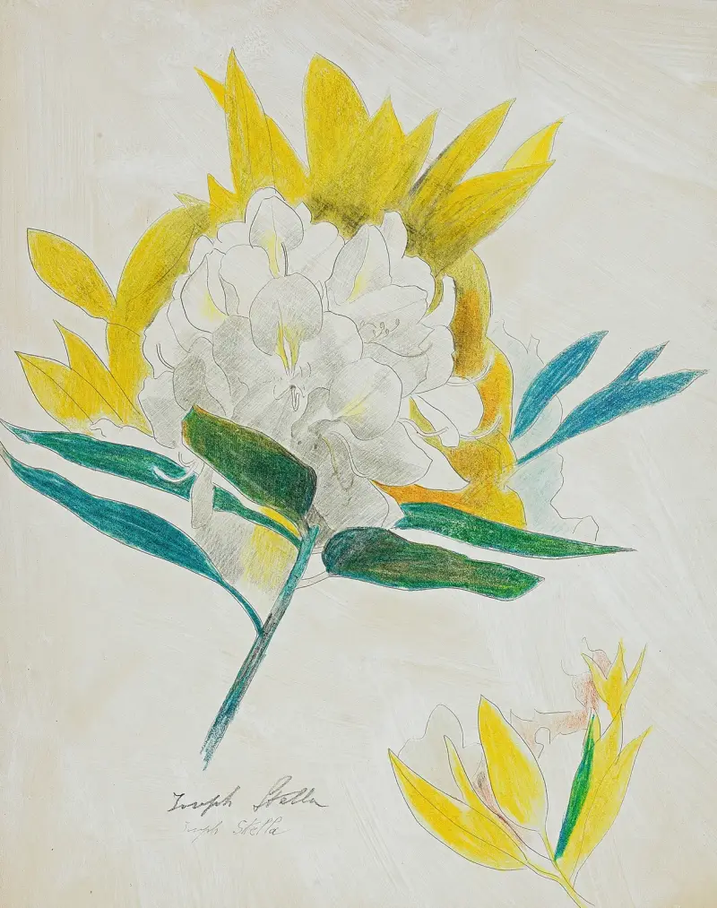 Kwiat kaktusa, Joseph Stella
