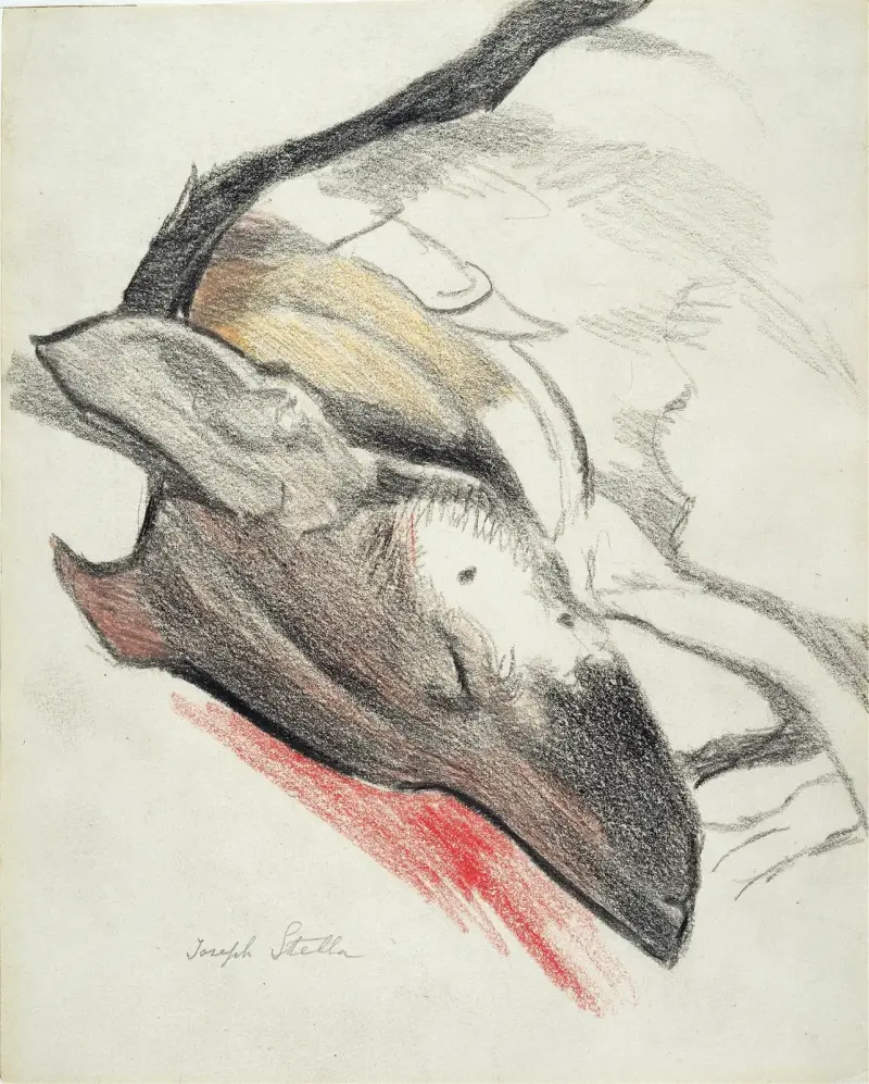 Śpiący pies, Joseph Stella