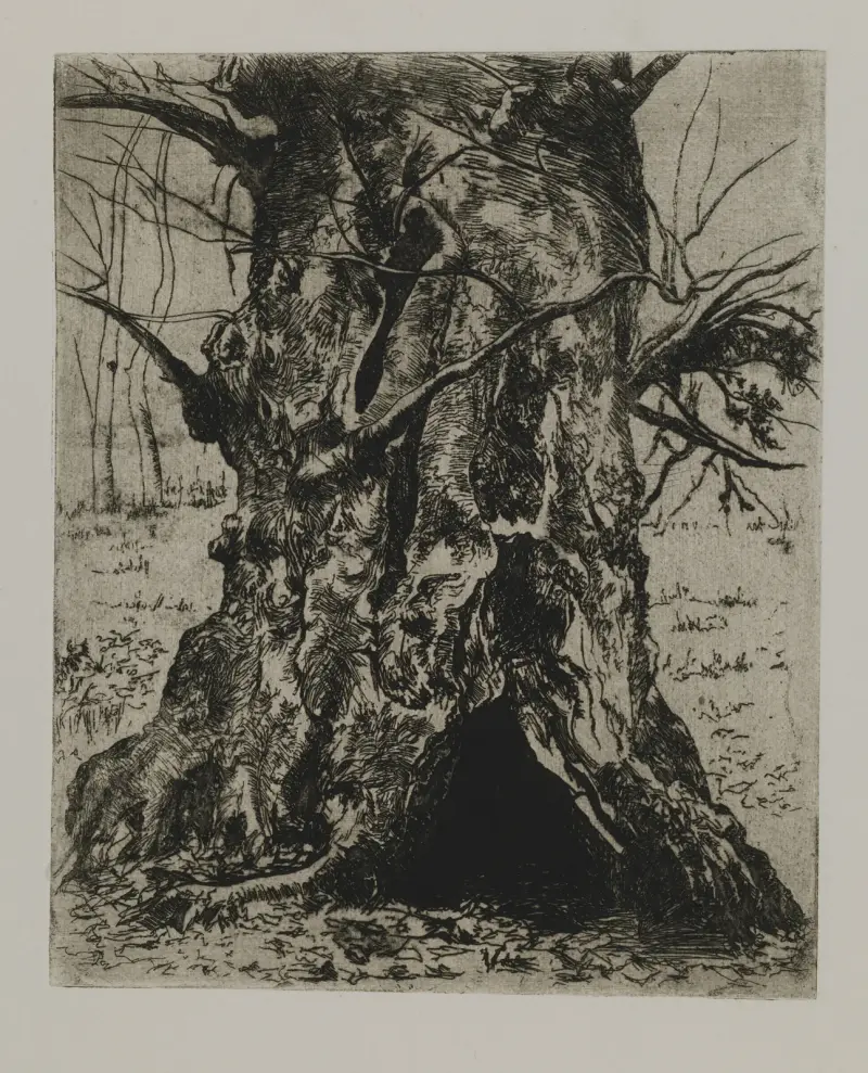 Tree Trunk, Joseph Stella