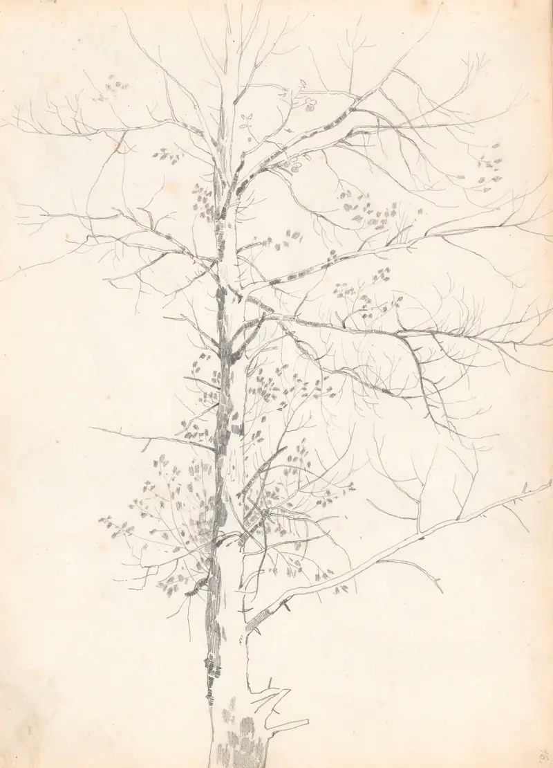 Brzoza, Jozef Brandt