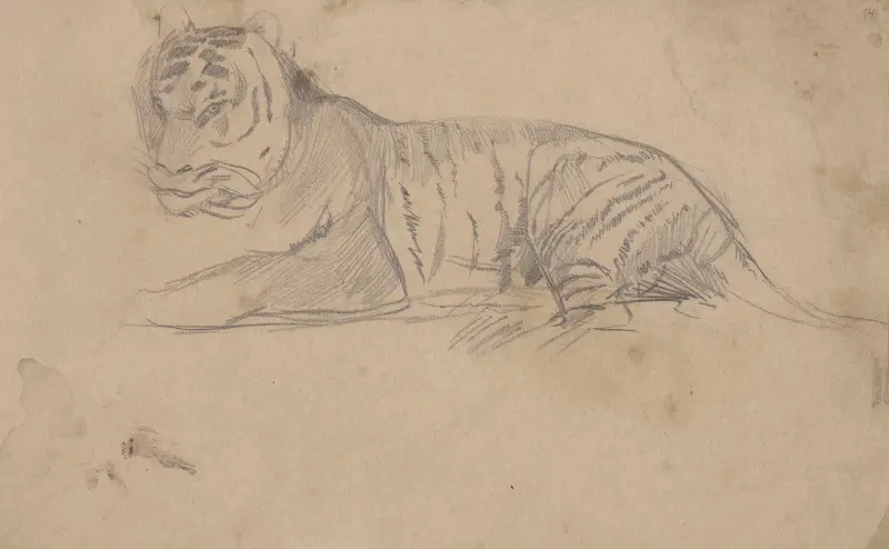 Liggande tiger av Jozef Chelmonski