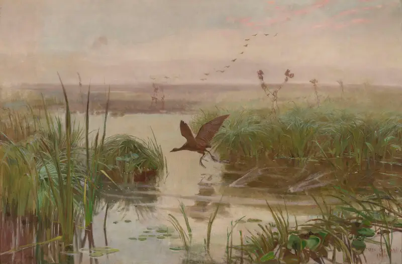 Water Hen av Jozef Chelmonski